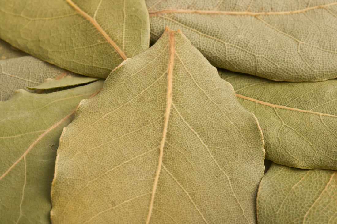 Babérlevél: Az Alapvető Fűszer a Lassan Készülő Ételekhez