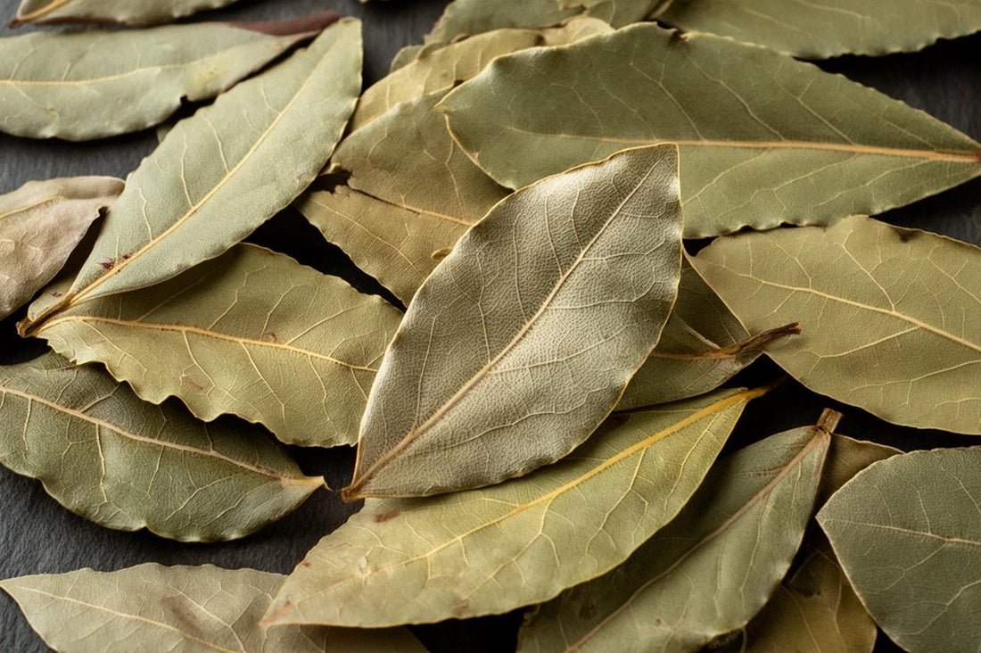 Babérlevél: Egy Konyhai Alapvető Fűszer a Harmonikus Ízekért