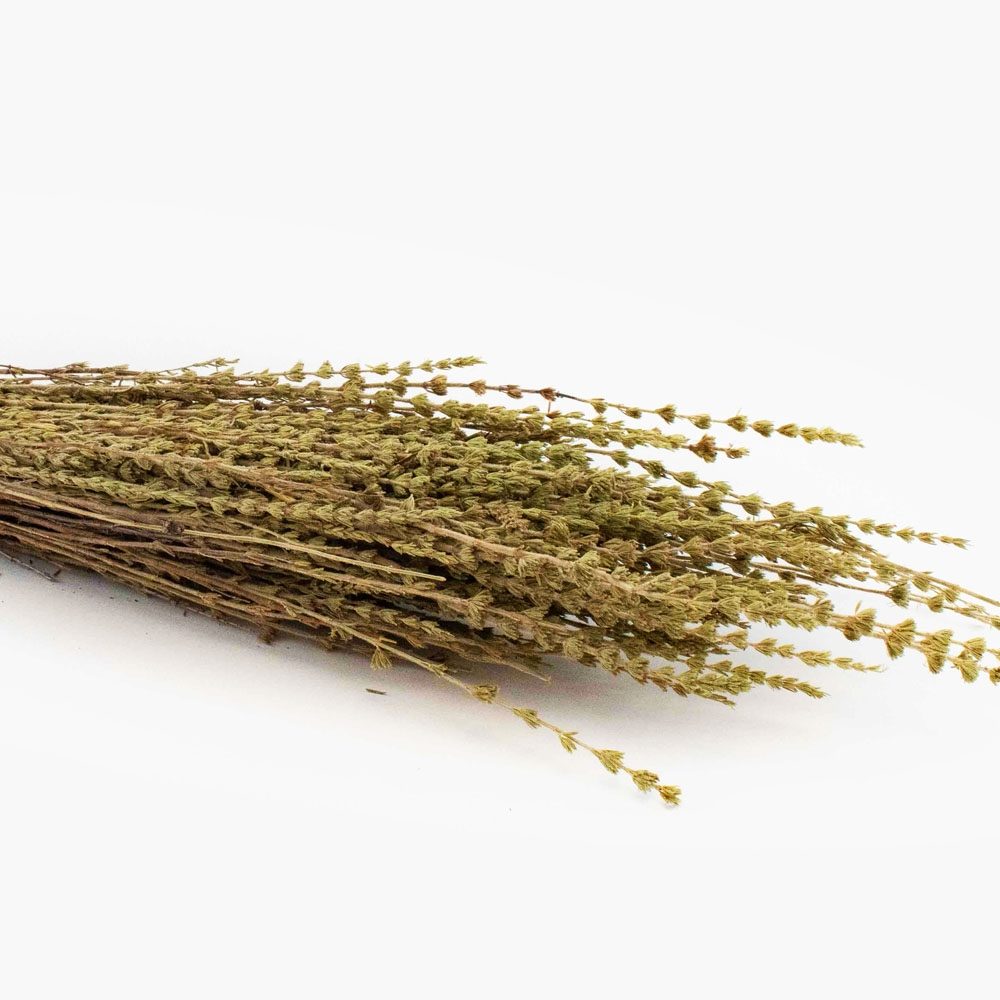 Krétai Kyparissaki (Polykombo). 50g.