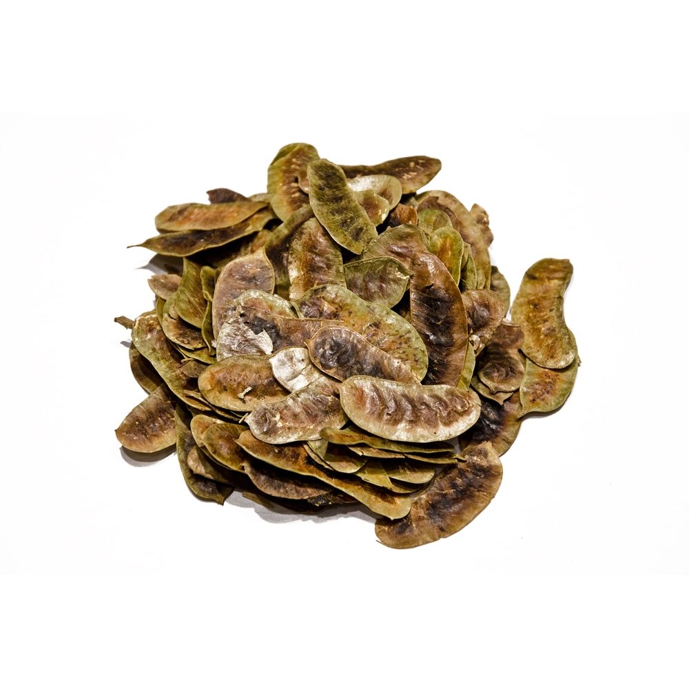 Alexandria levelei (egyiptomi Senna). 100g.